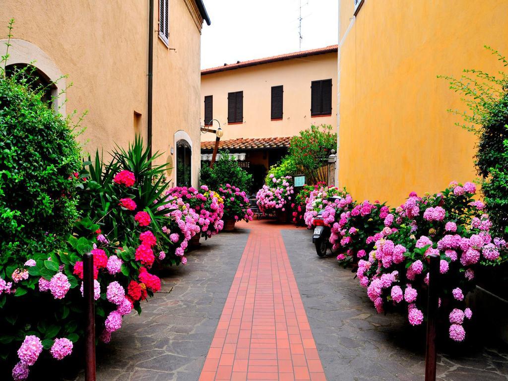 Affittacamere Dal Falco Pienza Exterior foto