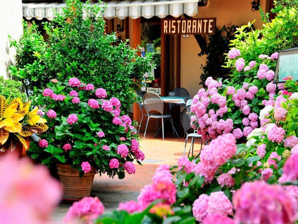 Affittacamere Dal Falco Pienza Exterior foto